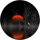 Olga J. profile picture